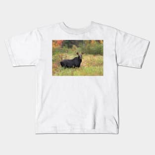 Young Moose - Algonquin Park, Canada Kids T-Shirt